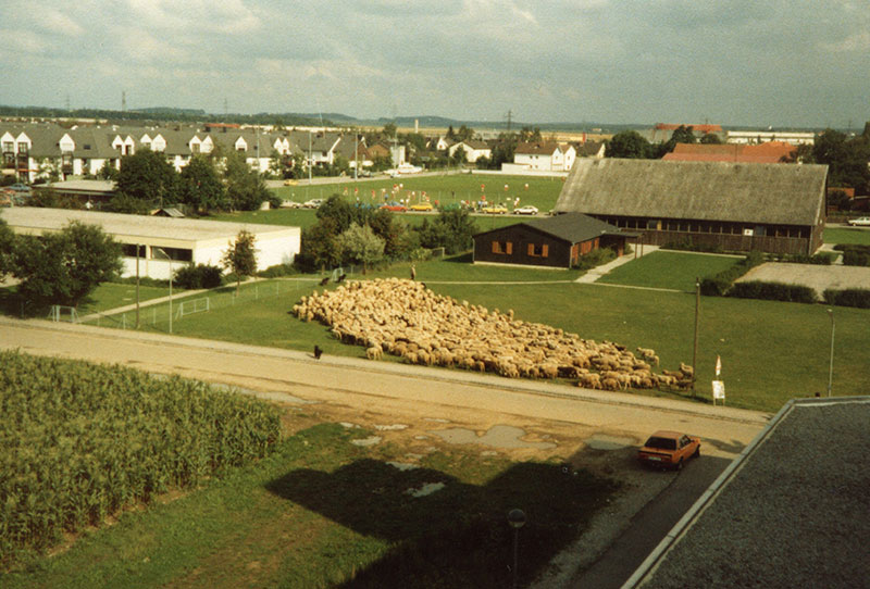 REZ-Baugeschichte-Schafwiese